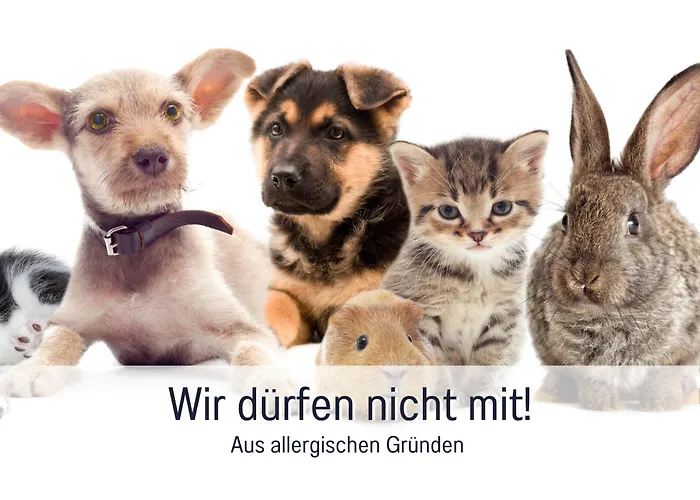 公寓 Germersheimer Rhein-idylle Sauna, Whirlpool Und Bubble *